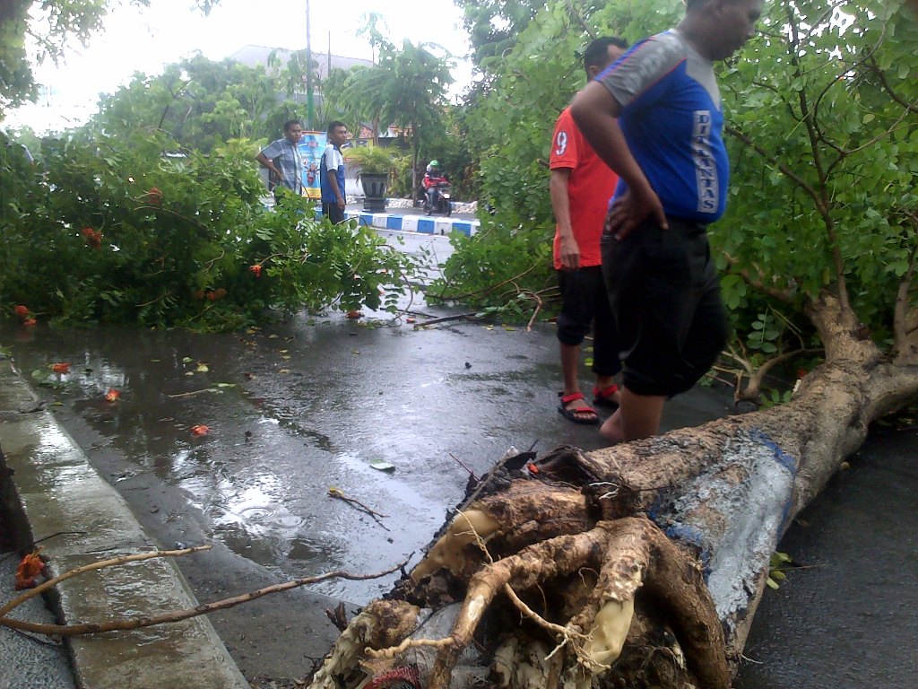 Pohon tumbang yang merintangi jalan hingga mengganggu lalu lintas. Foto: Metrotvnews.com/Agus Josiandi
