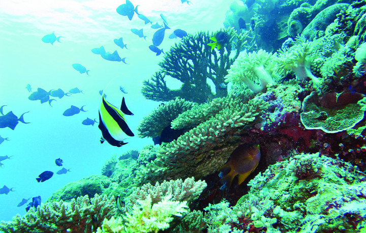 Cerita dari Tenggara Sulawesi 