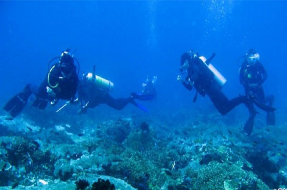 Menyelam Di Gili Wisatawan Perancis Tewas