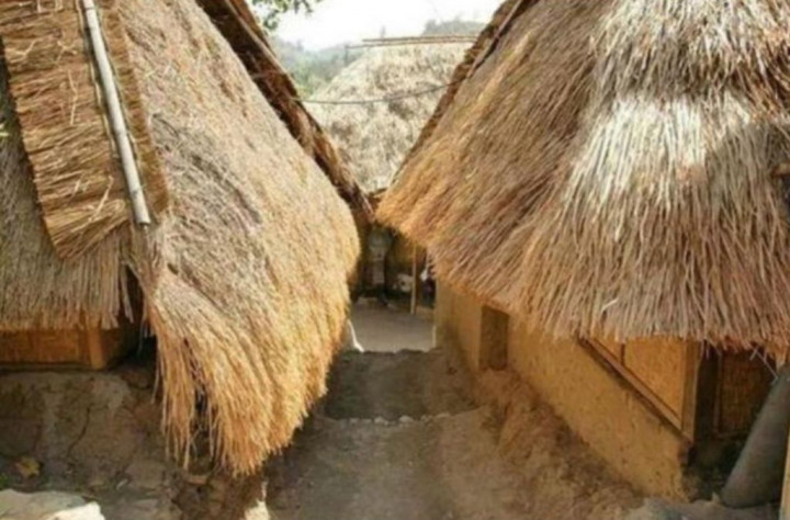 Sasak Tribe Uses Buffalo Manure to Clean Floors 