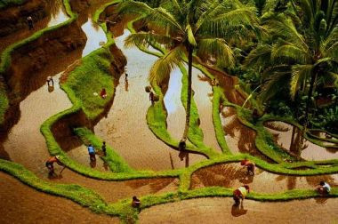 Bali and Modernization