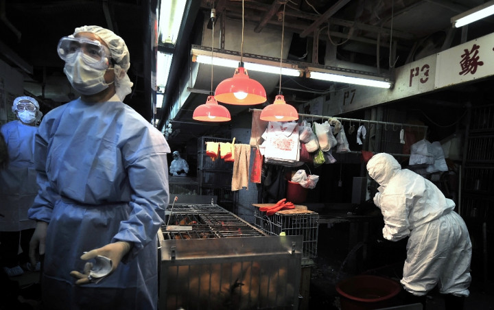 Prancis Laporkan Wabah Flu Burung H5N1