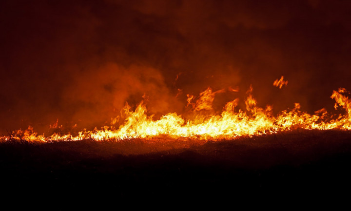 Rumah Pintar Ini Selamat dari Kebakaran