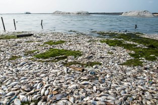 Kinerja BPLHD Lamban