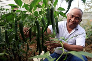 DPR Diminta Tak Menunda Pemilihan Capim KPK