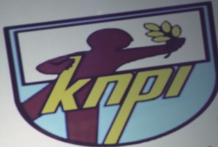 Organisasi Kepemudaan DKI Tidak Produktif