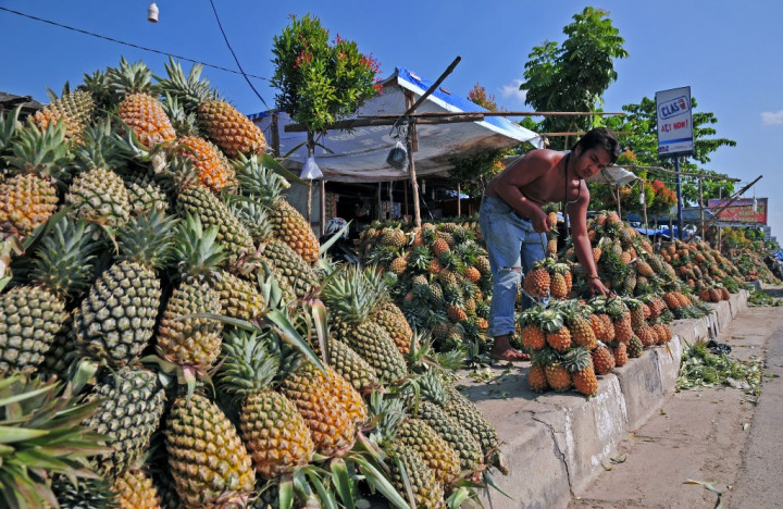 Ini Penghambat Kinerja Ekspor Buah di Indonesia