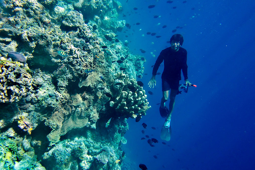 Pesona Taman Laut Bunaken