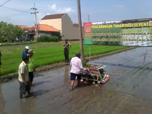 Menuju Swasembada, Butuh Waktu Ubah Pola Pikir Petani