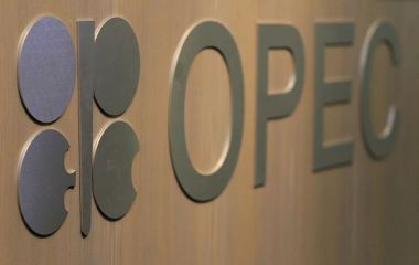 OPEC Membership Will Improve Oil Imports Cooperation: Pertamina