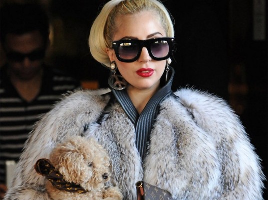 Lady Gaga Diprotes Aktivis Anti-Bulu Hewan