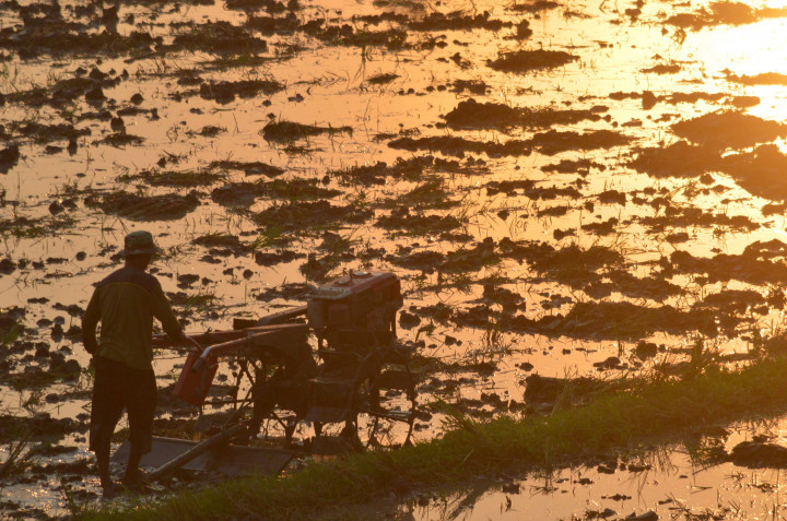 MEA dan Gempuran Industri Asing ke Indonesia