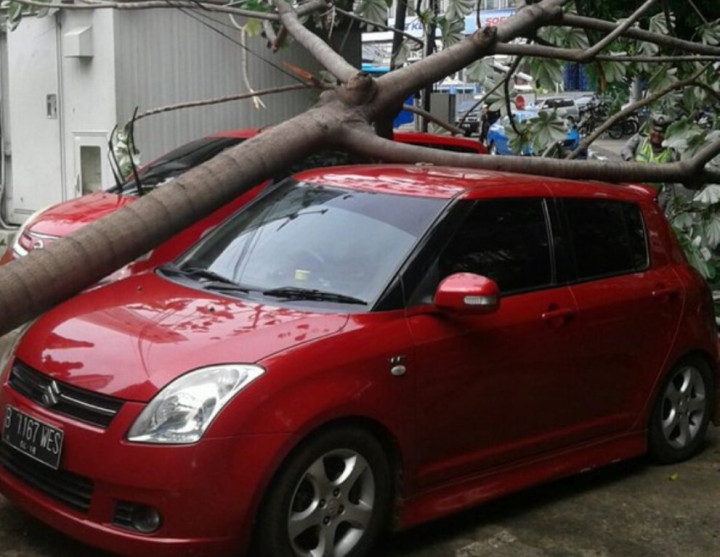 Pohon Tumbang Timpa Mobil Polisi di Bundaran HI