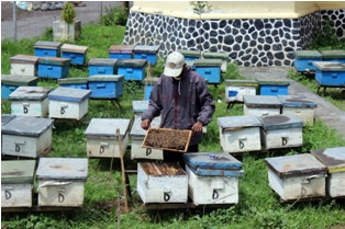 Pemekaran Kabupaten Malang Menguat Kembali Usai Pilkada