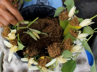 Tradisi Menginang Tetap Lestari di Solo