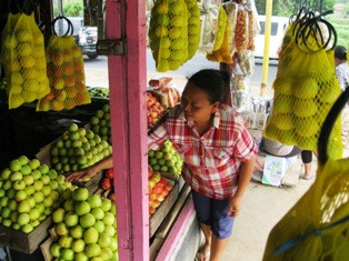 Batu Andalkan Produk Pertanian Hadapi MEA