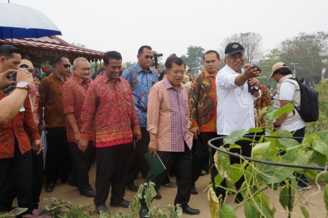 Wapres dan Mentan Tinjau Industri Kakao di Sulawesi Tenggara 