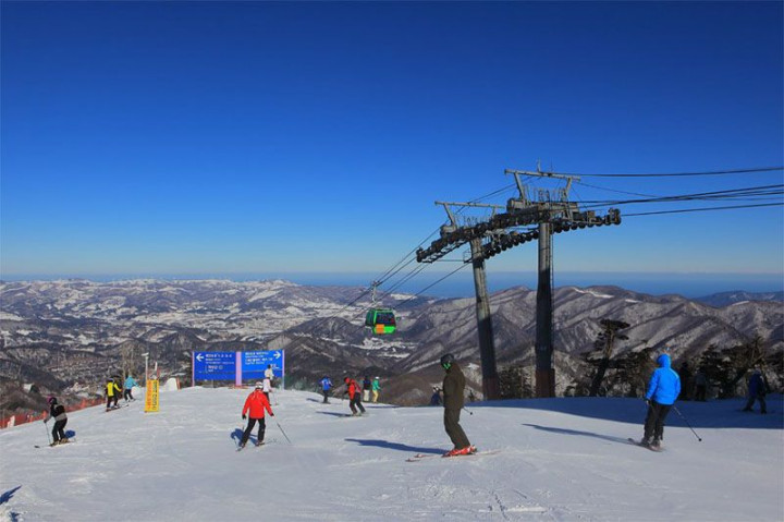 Ayo, Nikmati Salju Musim Dingin di Korea Selatan