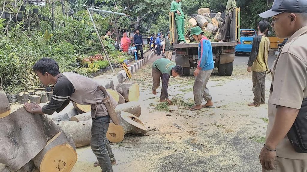 Pekerja tengah membersihkan jalanan dari pohon tumbang. (Foto: MTVN/Mulvi)