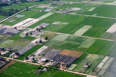 DPRD Jatim Desak Soekarwo Terbitkan Pergub Ketahanan Pangan