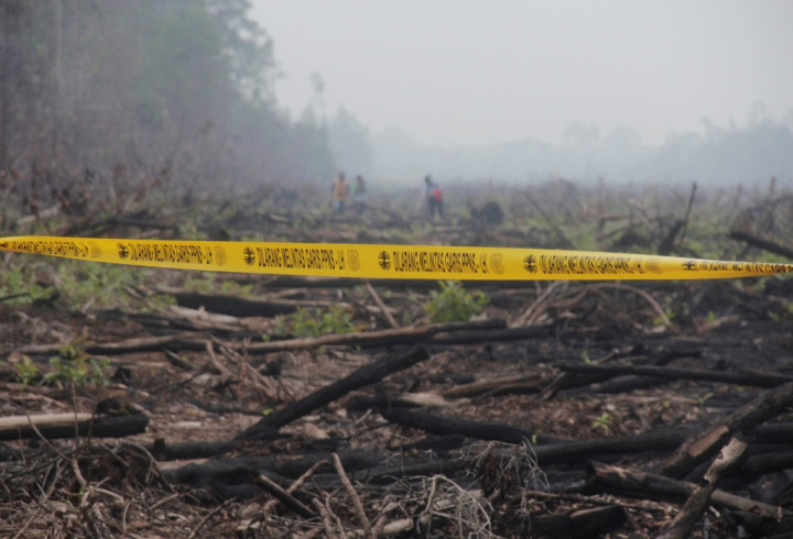  Pembekuan dan Pencabutan Izin Usaha Kehutanan Timbulkan Gejolak Sosial