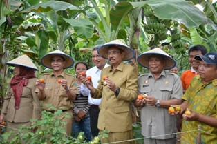 Petani Didorong Manfaatkan Teknologi Tepat Guna Hadapi MEA