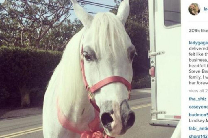 Kuda Putih, Hadiah Natal untuk Lady Gaga