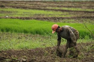Cirebon Kembangkan Video Konferensi untuk Komunikasi