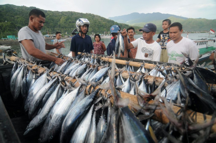 Jelang Natal, Harga Ikan di Kota Ambon Melonjak 