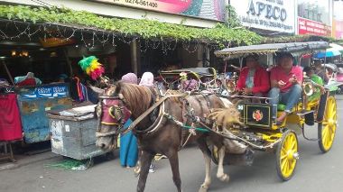 Andong, Favorite Tourist Transportation in Yogyakarta 