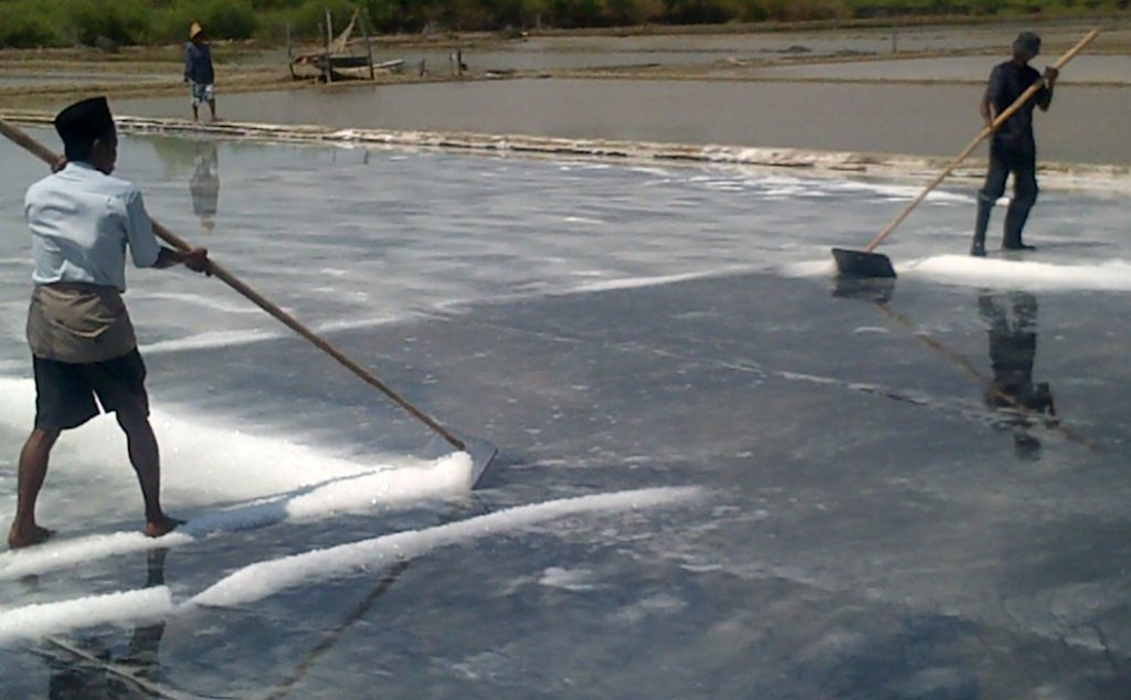 Petani garam sedang memanen garam. Foto: Metrotvnews.com/Agus Josiandi