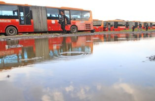 Ahok Izinkan Bus TransJakarta Buatan Tiongkok Kembali Beroperasi