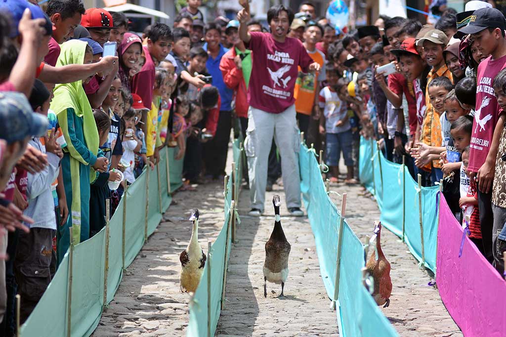 Tradisi Grebeg Bebek Sukomarto 