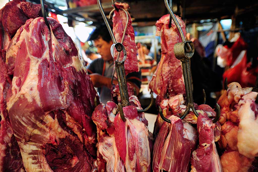 2016, Kuota Impor Sapi Bakalan 600 Ribu Ekor