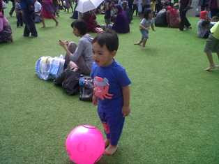 Rumput Sintetis Alun-alun Bandung Bau Kaki dan Berserangga