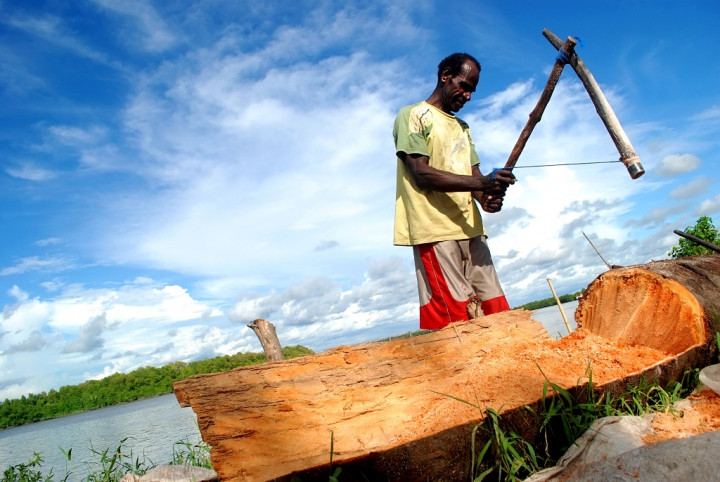 95% Tanaman Sagu di Papua Alami Tidak Dimanfaatkan