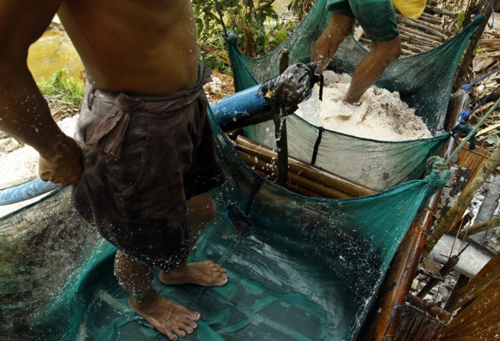 Sagu, Salah Satu Palma Kehidupan