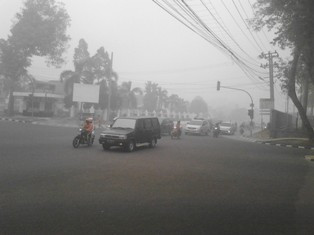 Polda: 8.587,9 Hektare Lahan di Jambi Habis Terbakar