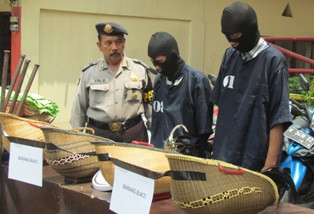 Arena Sabung Ayam Beromzet Puluhan Juta Digerebek