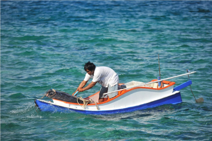 Kiara Desak Perubahan Paradigma Konservasi Kawasan Kelautan