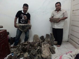 Ratusan Fosil Purba Buton Teridentifikasi