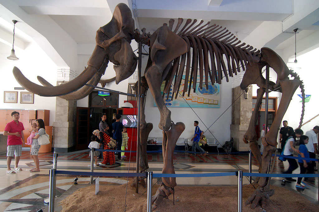 Wisata Edukasi Museum Geologi Bandung