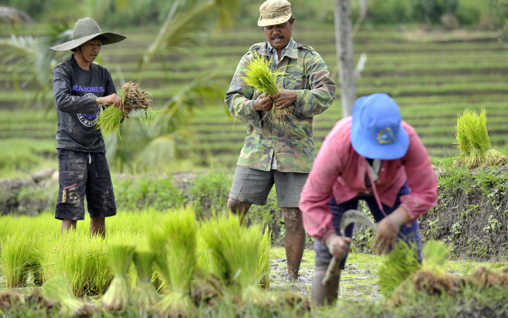Mencari Kunci Pembangunan Desa  