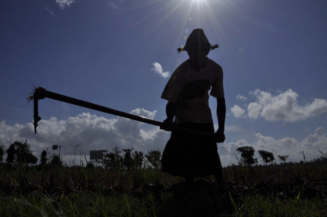 Seorang petani mencangkul lahan. (foto: Antara/Budi Afandi)