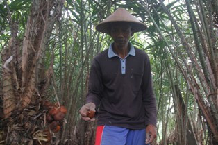 Petani Salak Lereng Merapi Putus Asa Hadapi MEA