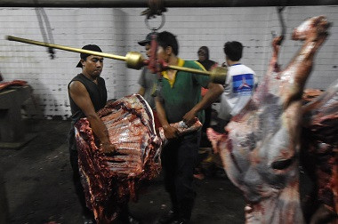 Pemprov Klaim Stok Sapi Berlebih di Jatim