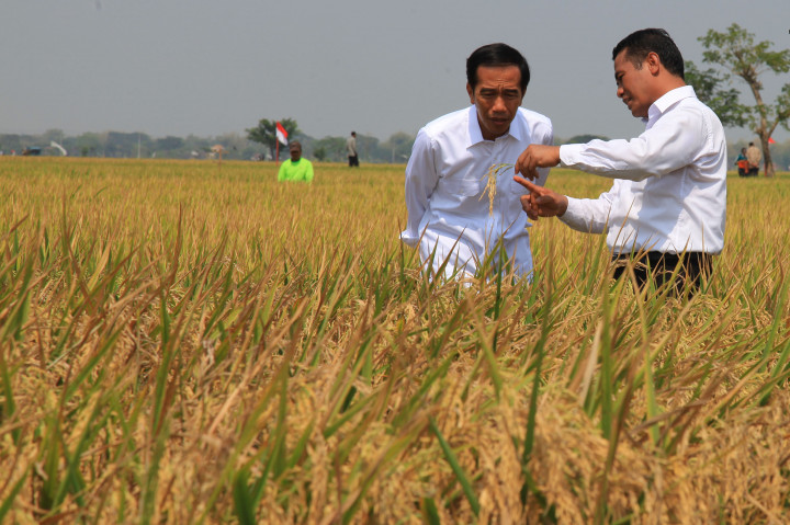 Presiden Kunjungan Kerja ke Cirebon & Majalengka