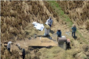 Hadapi MEA, Segera Berlakukan Industrialisasi Pertanian