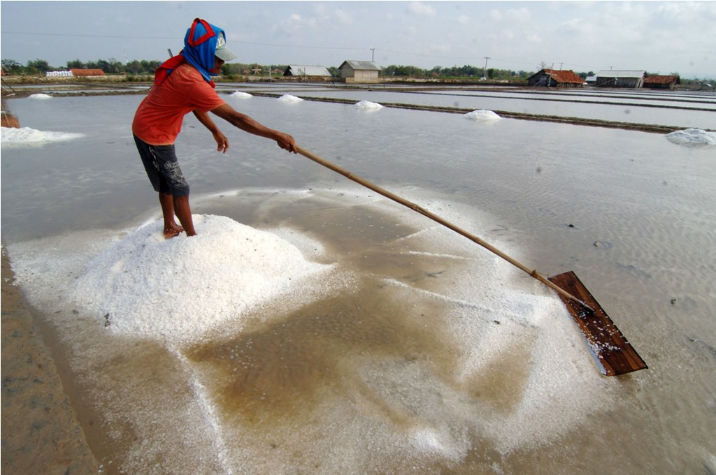 Ilustrasi (ANTARA FOTO/Saiful Bahri)