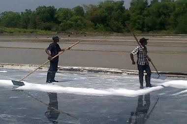 Revisi Permendag Bikin Petani Garam Kecewa